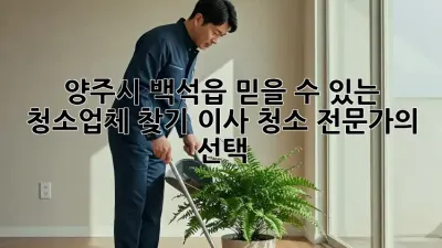 양주시 백석읍 믿을 수 있는 청소업체 찾기: 이사 청소 전문가의 선택